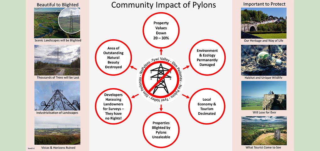 Llandeilo Show Slide 1