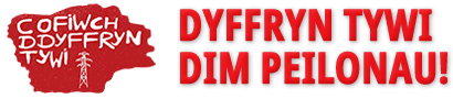 Dim Peilonau yn Nyffryn Tywi!