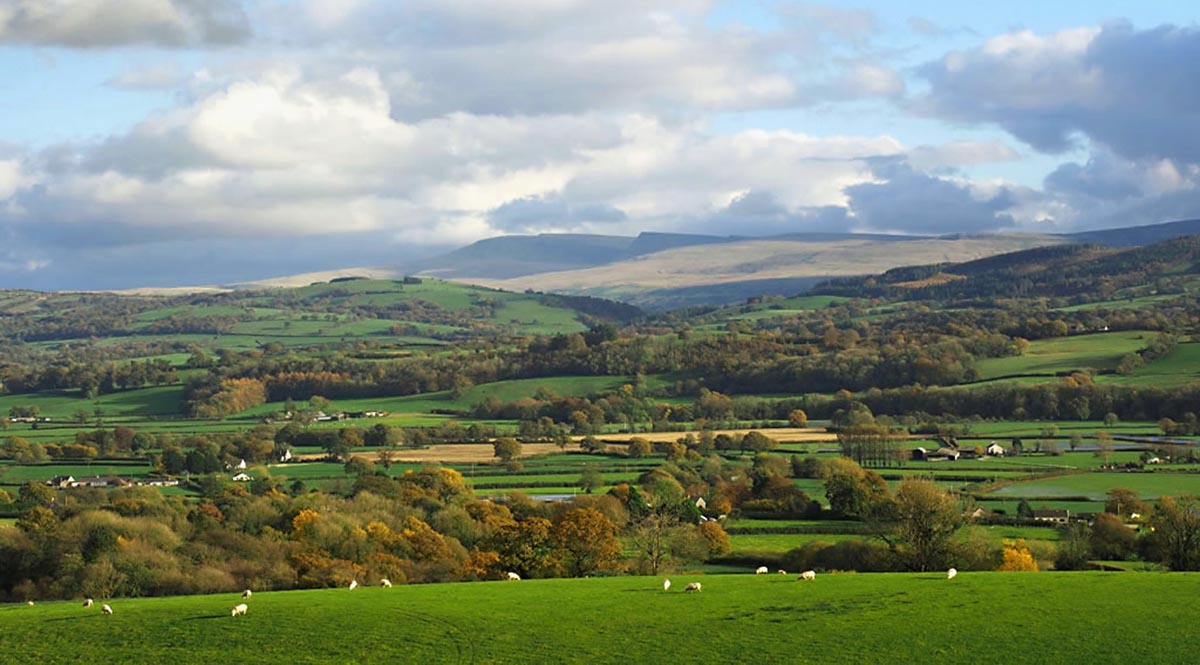 view over the Towy Valley